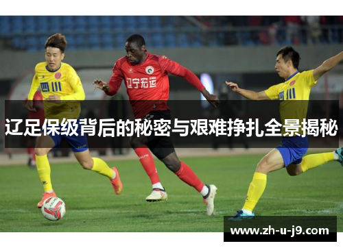 辽足保级背后的秘密与艰难挣扎全景揭秘