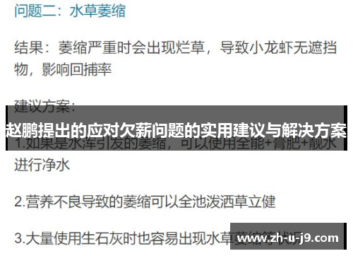 赵鹏提出的应对欠薪问题的实用建议与解决方案