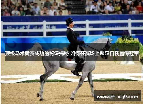 顶级马术竞赛成功的秘诀揭秘 如何在赛场上超越自我赢得冠军