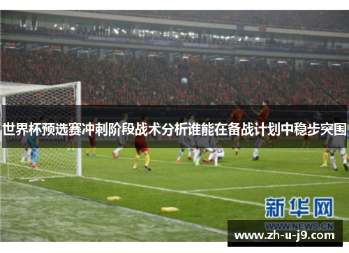 世界杯预选赛冲刺阶段战术分析谁能在备战计划中稳步突围